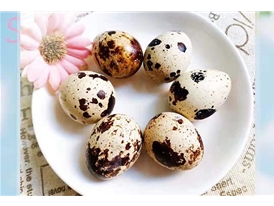 园内美食