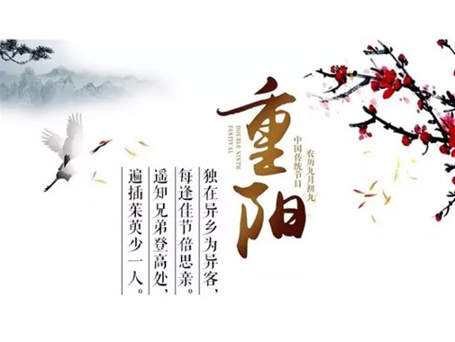 童心敬老 爱满重阳--商丘市智谷幼儿园重阳节主题活动